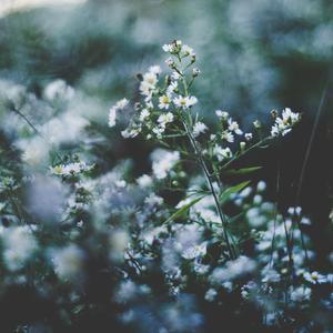 做爱视频地址入口
